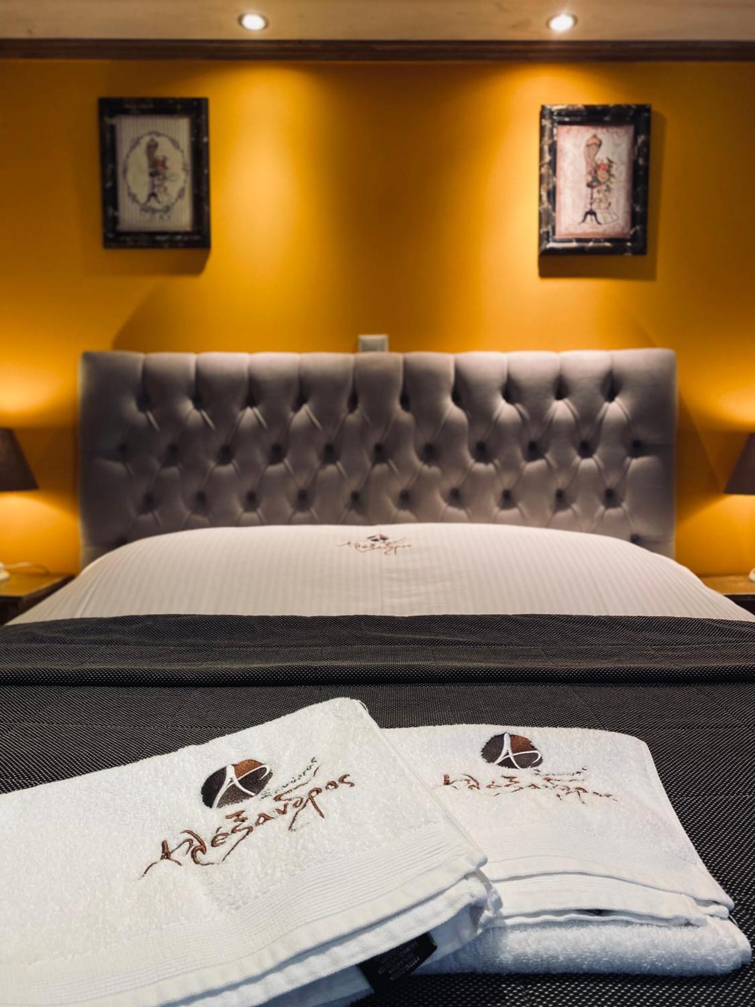 Alexandros Guesthouse Arachova Zewnętrze zdjęcie