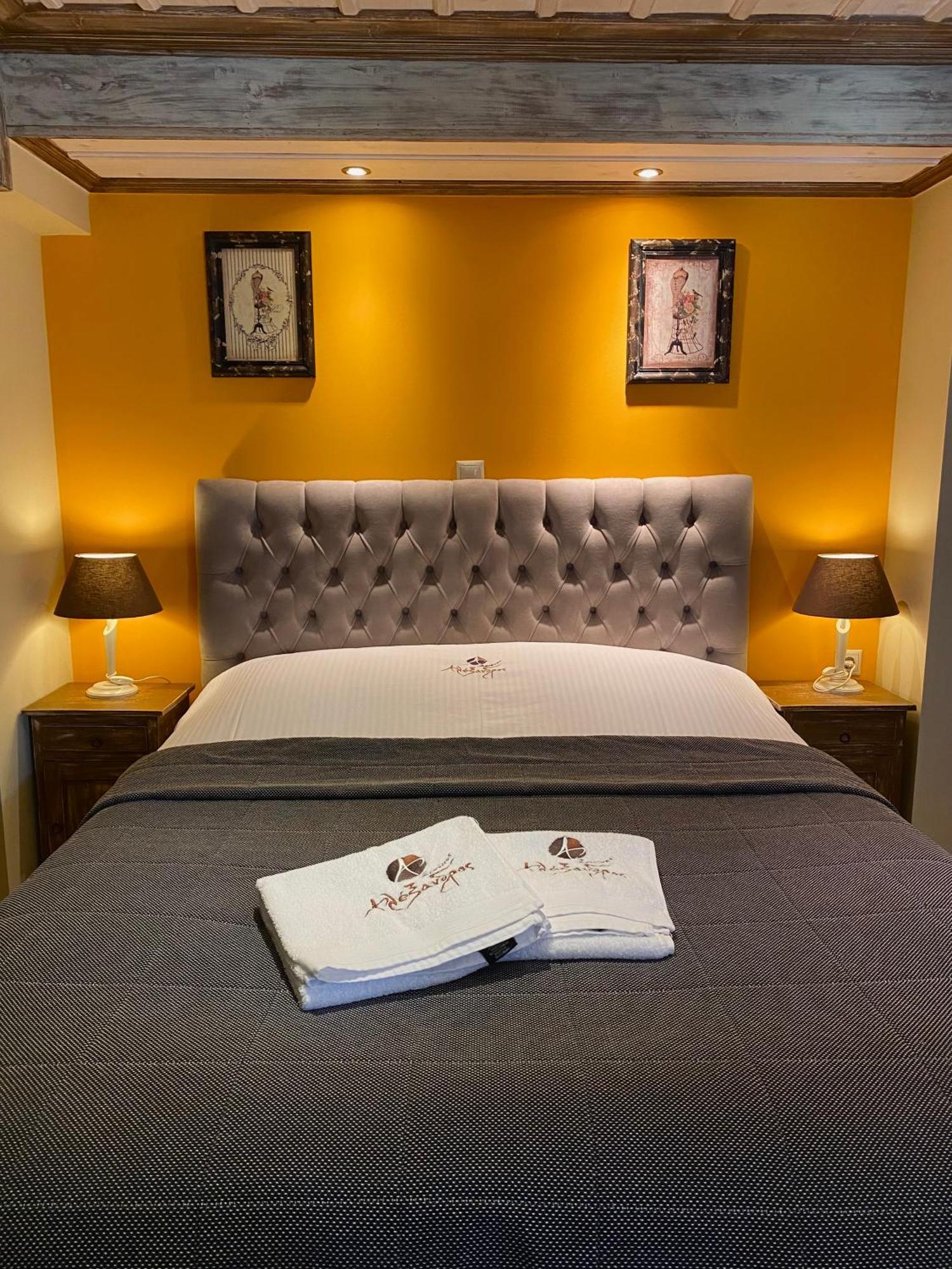 Alexandros Guesthouse Arachova Zewnętrze zdjęcie